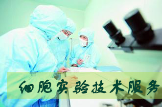 pp电子细胞实验服务外包