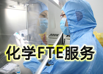 pp电子化学FTE服务