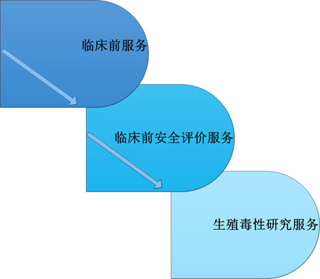 pp电子临床前服务中的生殖毒性服务