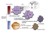 浅析：ADC药物的抗癌之路