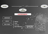 人工合成NT类脂质开放血脑屏障，为CNS药物打开新局面