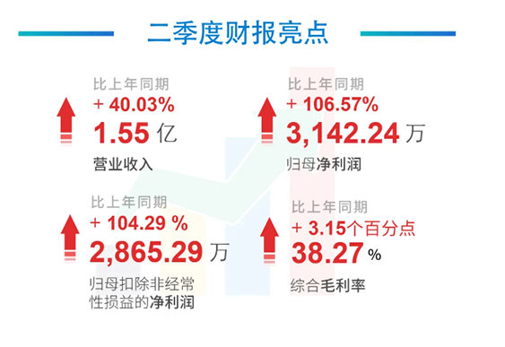 科创板公司pp电子2020年年中报告