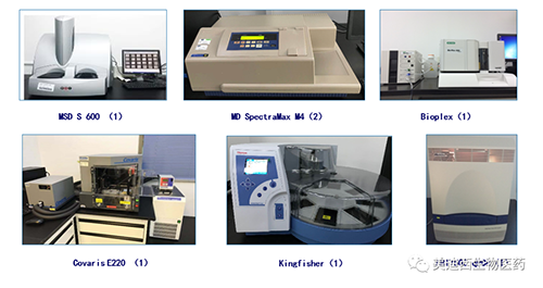 pp电子生物技术药物分析部服务仪器
