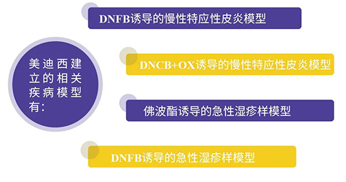 pp电子建立的特应性皮炎及湿疹模型