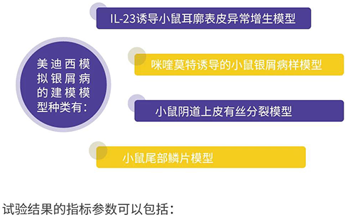 pp电子模拟银屑病的建模模型种类