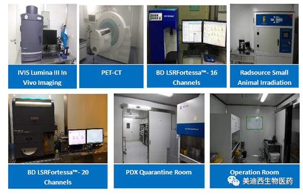 pp电子药理部拥有IVIS Lumina III, PET-CT, BD LSRFortessa-16，Flow Cytometry等仪器