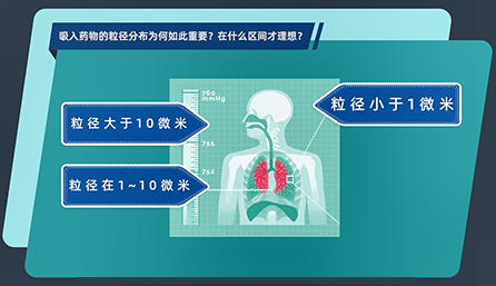 吸入药物的粒径分布为何如此重要？在什么区间才理想？