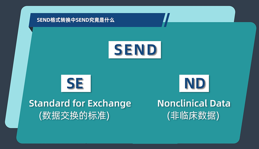 SEND格式转换中的SEND究竟是什么？