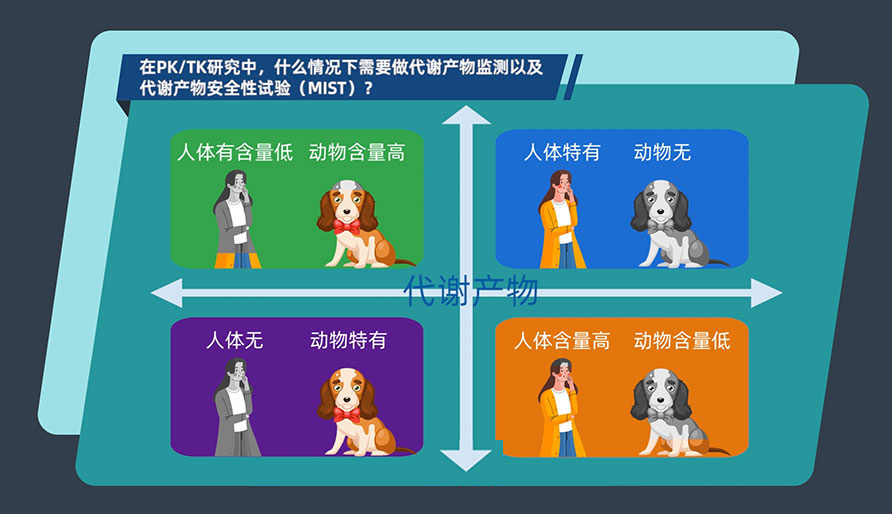 在PK-TK研究中，什么情况下需要做代谢产物监测以及代谢产物安全性试验（MIST）