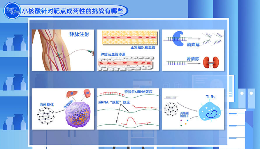 小核酸针对靶点成药性的挑战有哪些？