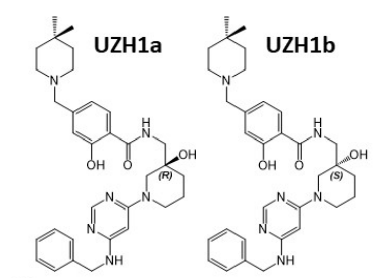 研究人员报告了一种具有细胞渗透性的选择性METTL3纳摩尔抑制剂UZH1a，作者感谢pp电子合成了UZH1a和UZH1b