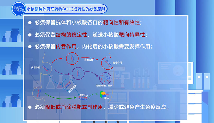 小核酸抗体偶联药物（AOC）成药性的必备原则？