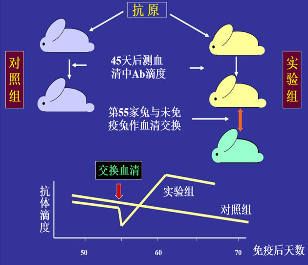 Figure-1：机体对抗体浓度变化的感知与反馈性自我调节.jpg