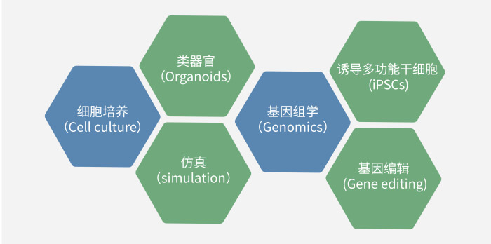 六大技术板块已上线，持续升级中.jpg