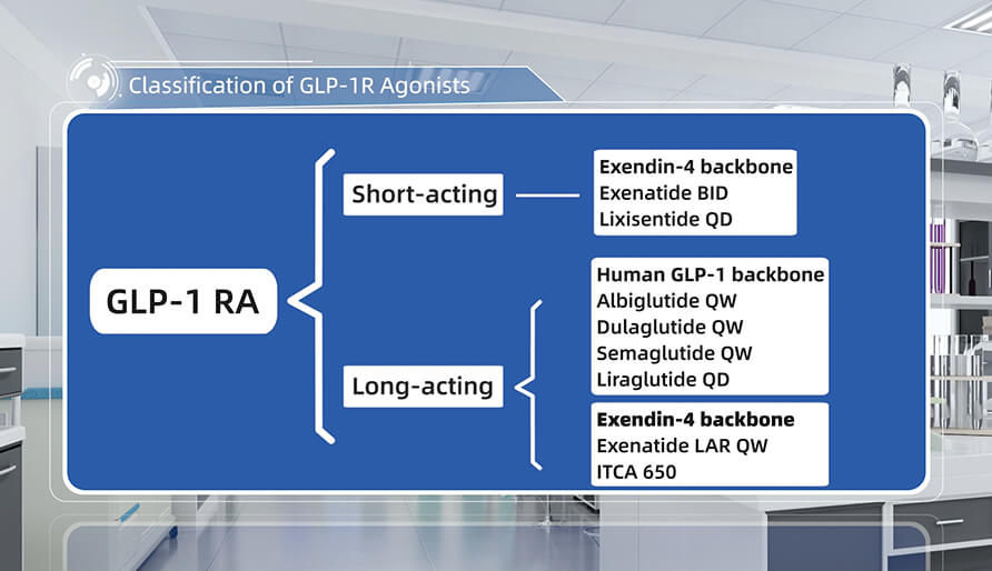 GLP-1R激动剂的分类