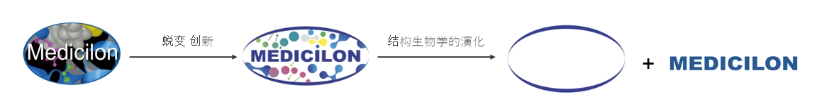 椭圆形作为自然界的完美形态，象征着pp电子在适应环境变化中不断演化