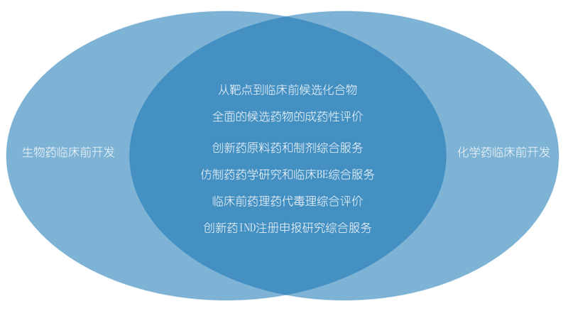 pp电子生物药物研发和化学药物研发.jpg