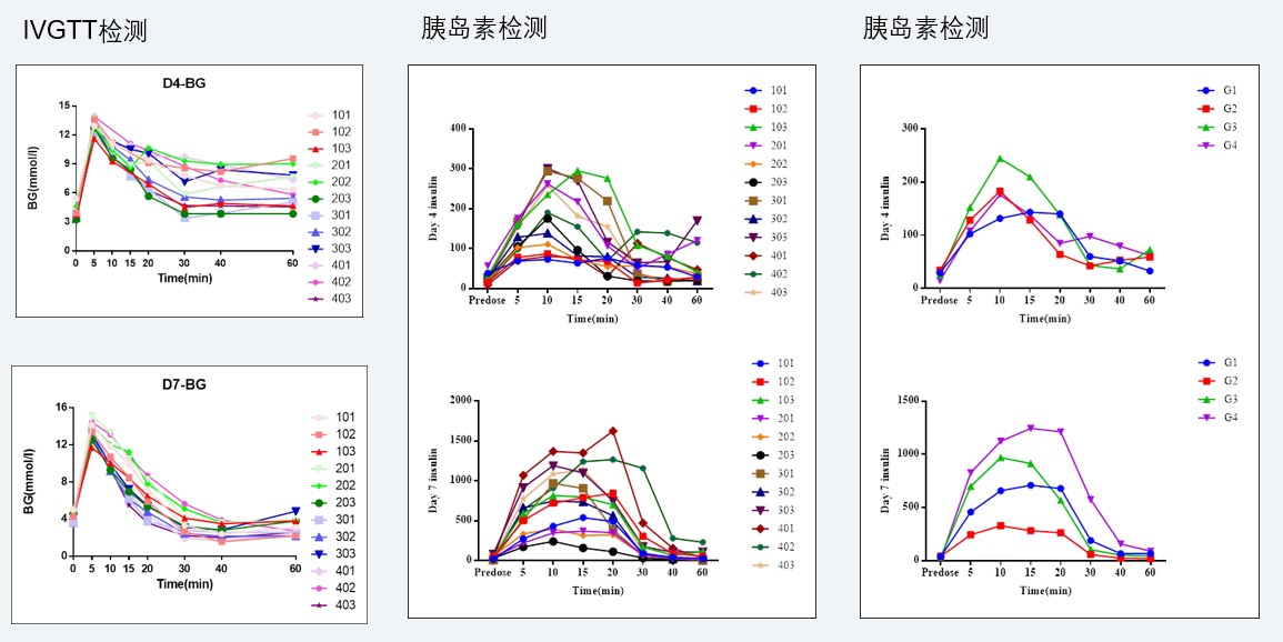 案例4：食蟹猴IVGTT和胰岛素检测实验.jpg