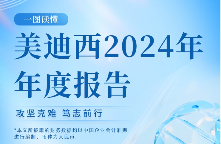 pp电子2024年年度报告